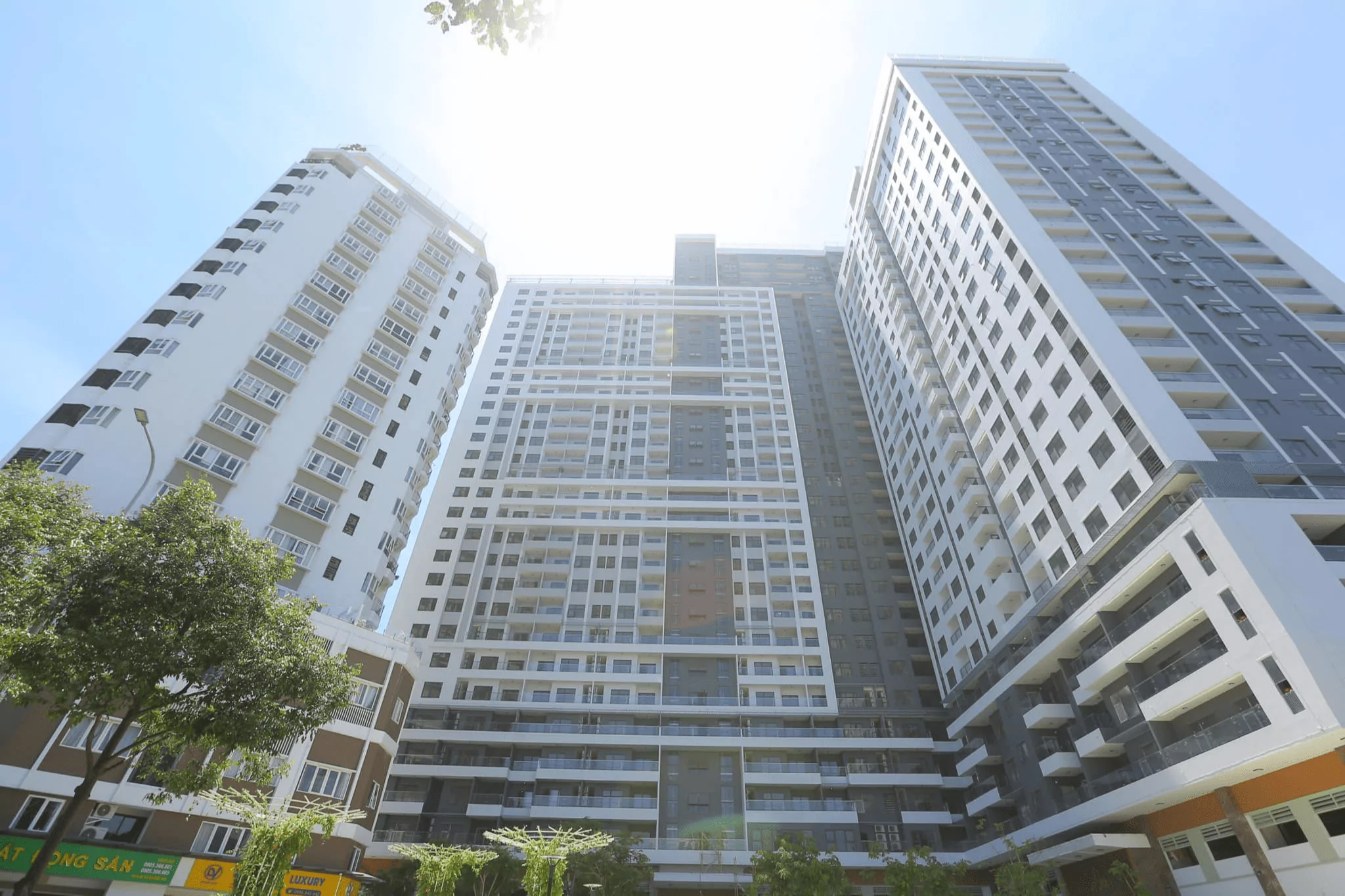 Da Nang Monarchy Apartment
