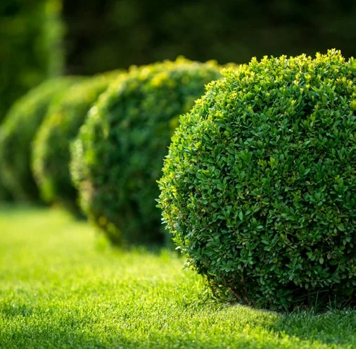 3 bedroom villa for sale in Hoiana Shores Golf Villa project