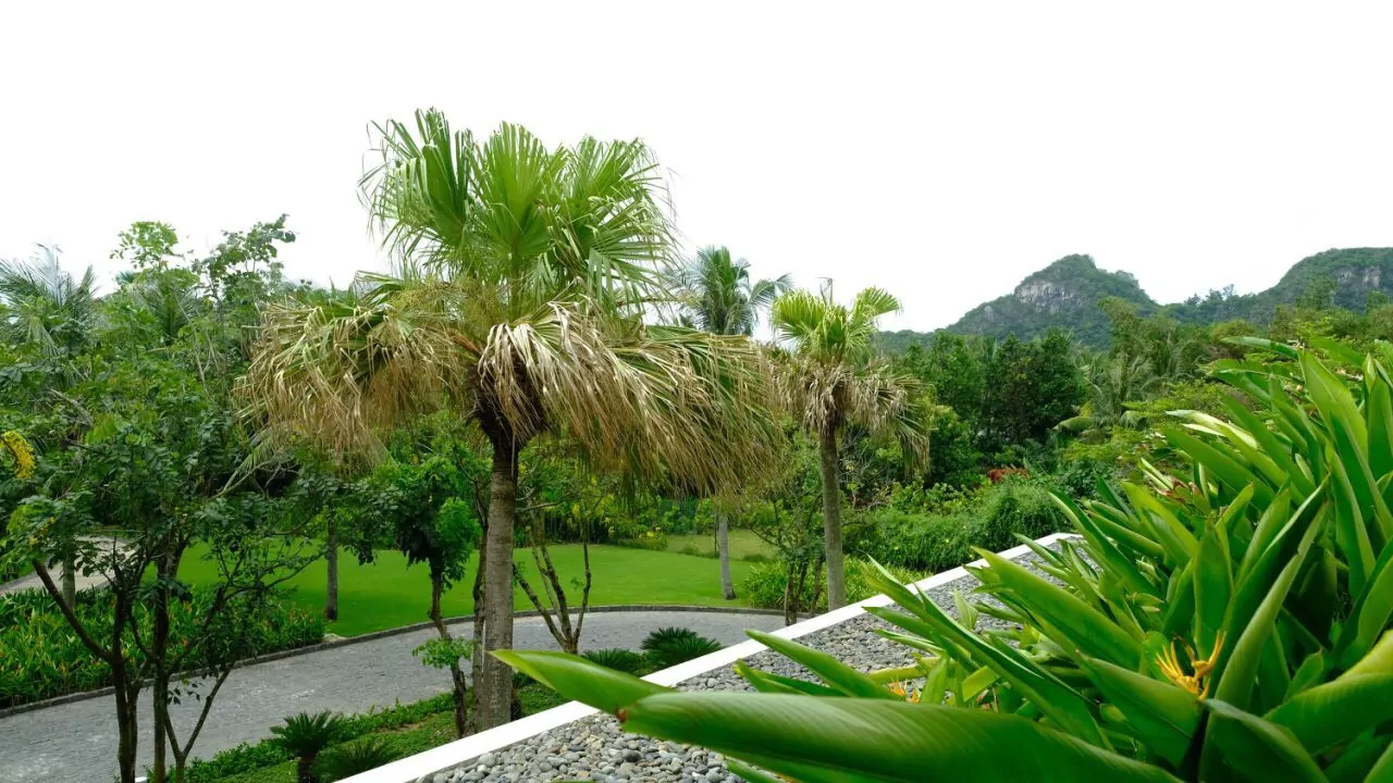 3 BEDROOM APARTMENT FOR SALE IN HYATT REGENCY DA NANG