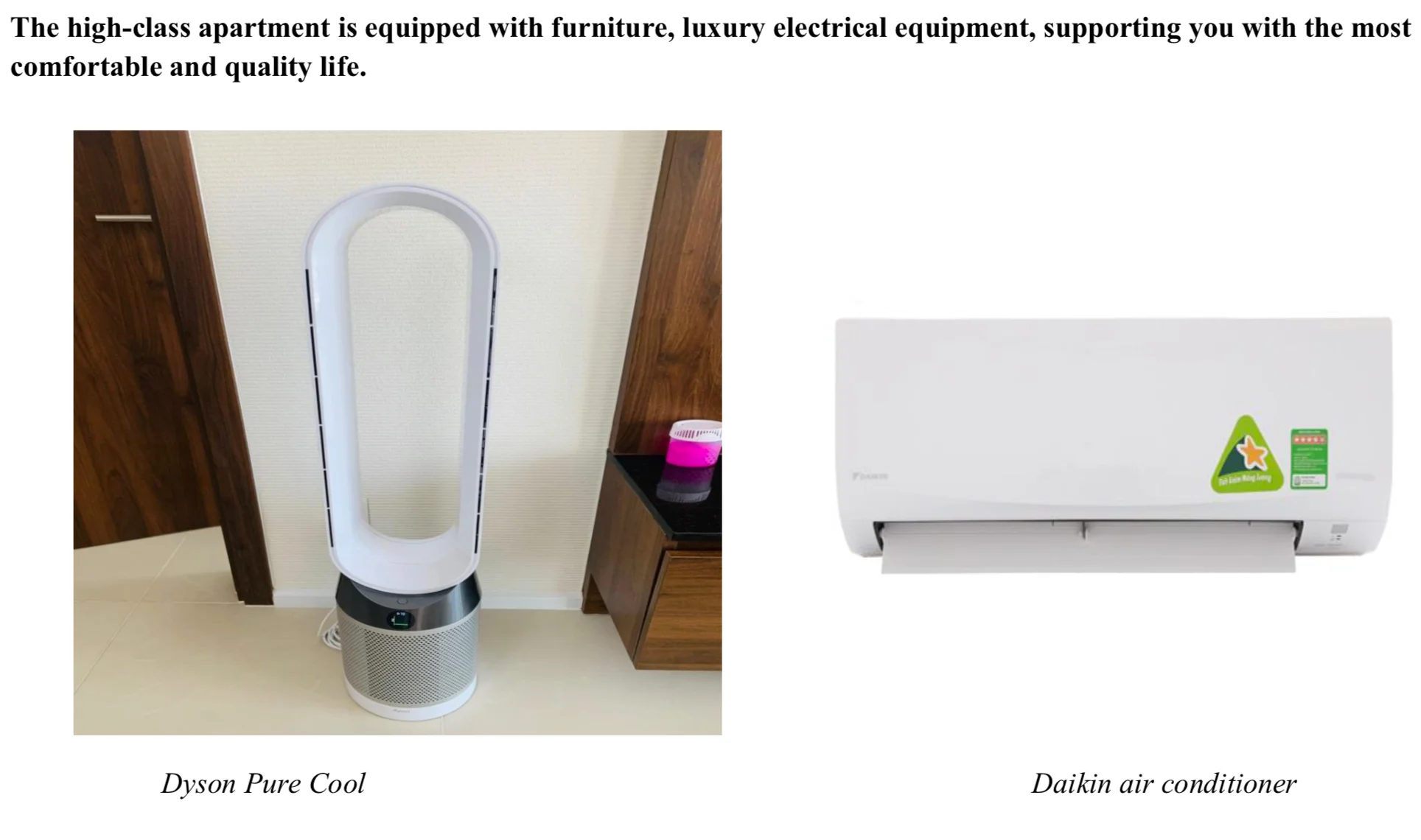 2bdr Hiyori apartment for sale