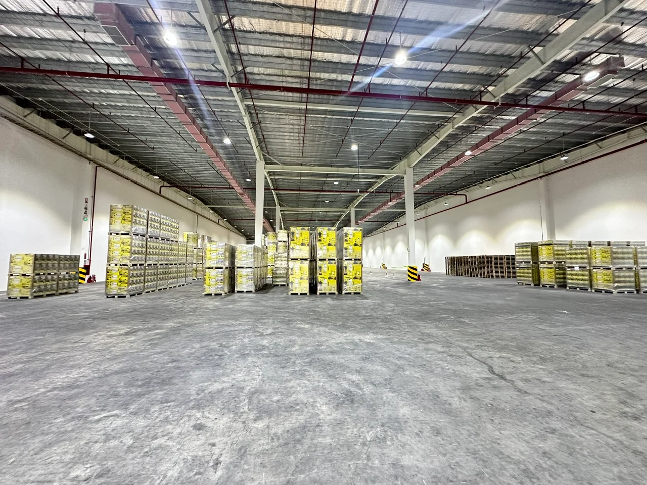 Factory for rent (RBF) in VSIP Quang Ngai