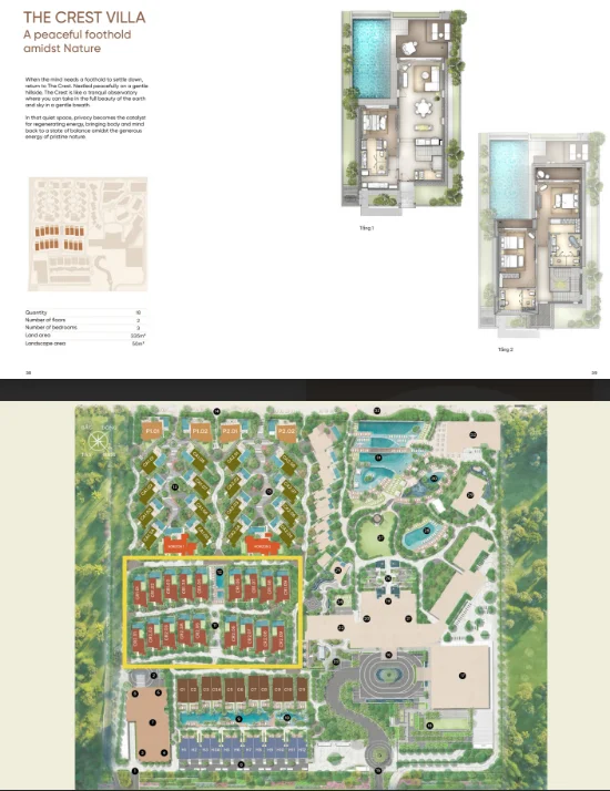 project