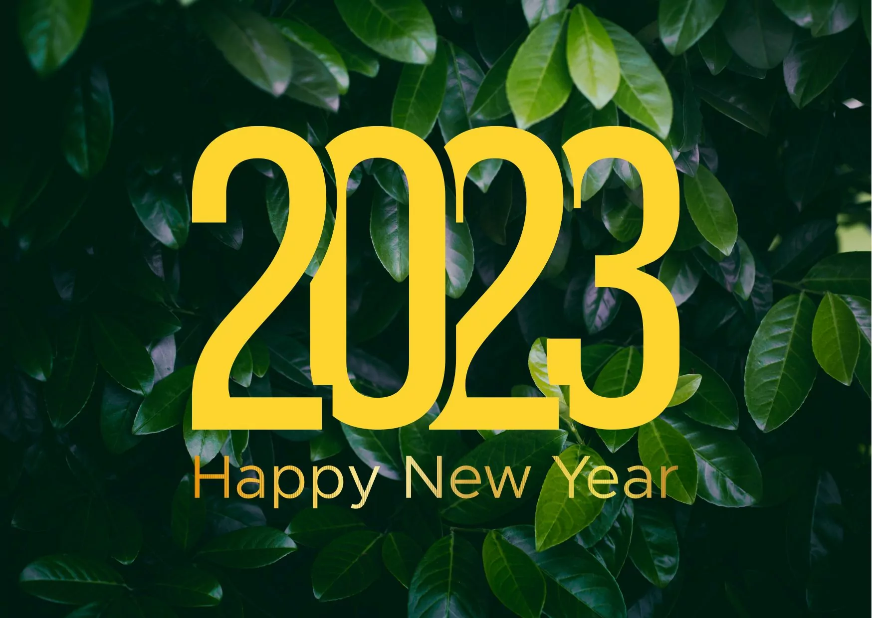 Week 1/2023 – Central Vietnam Real Estate News Summary