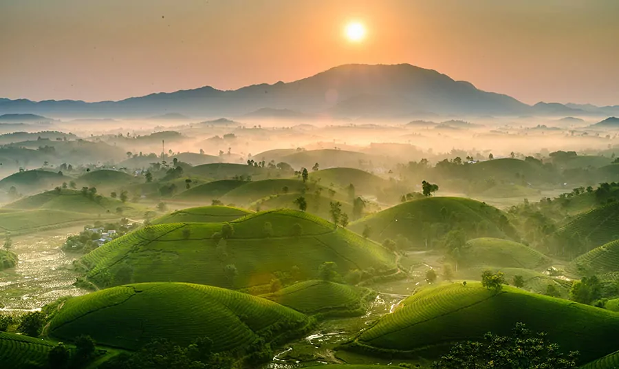 Week 01/2025 – Central Vietnam Real Estate News Summary