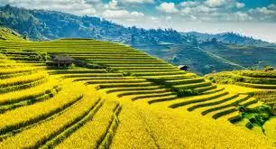 Week 10/2025 – Central Vietnam Real Estate News Summary
