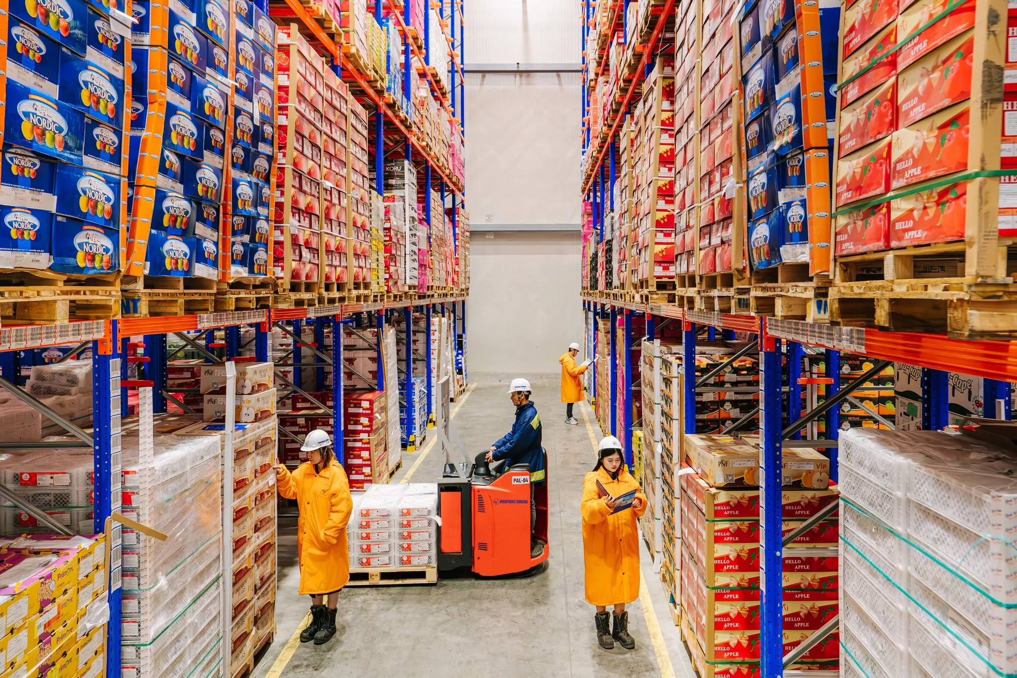 Exploring Cold Storage Options in Da Nang