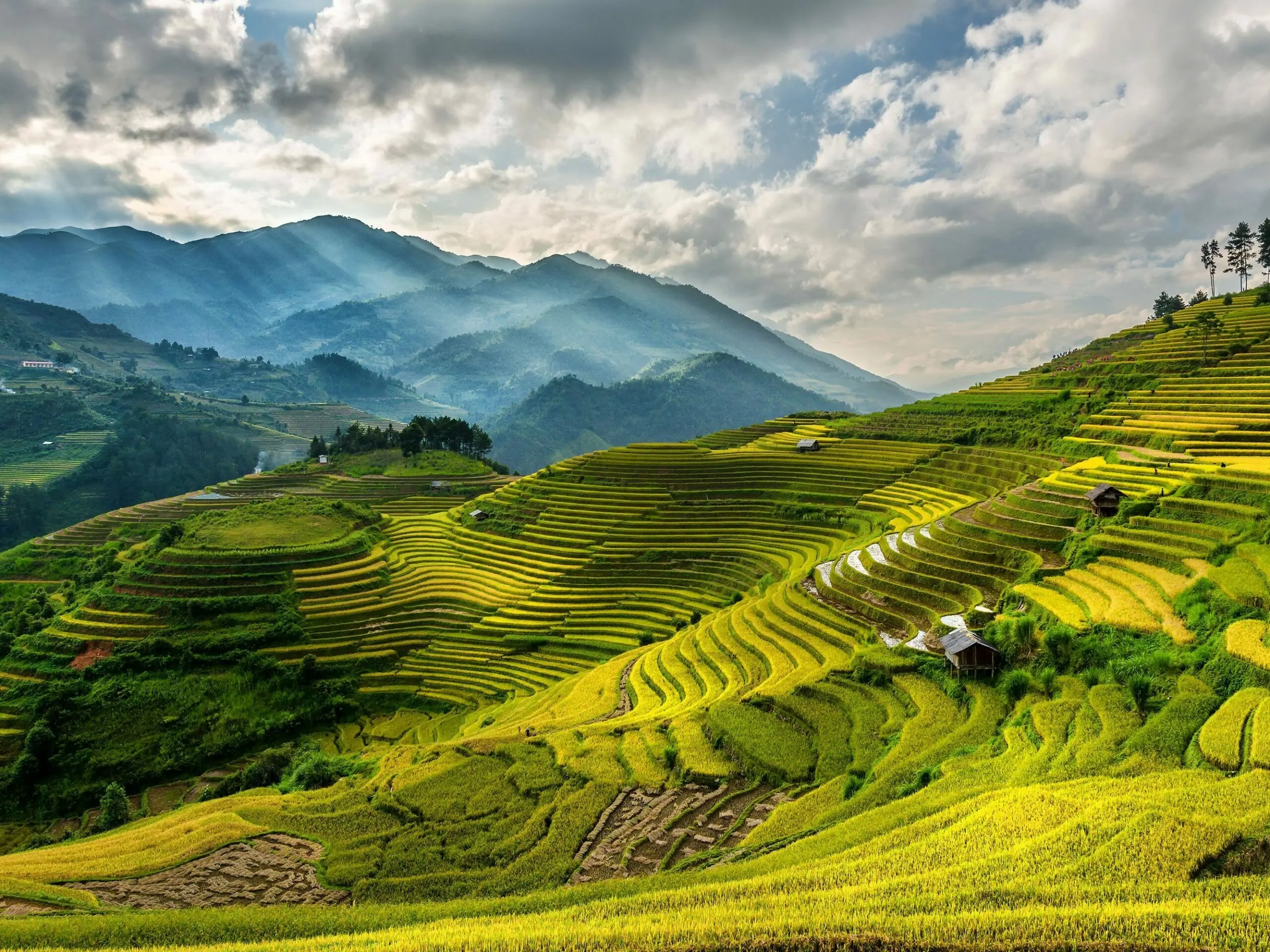 Week 02/2025 – Central Vietnam Real Estate News Summary